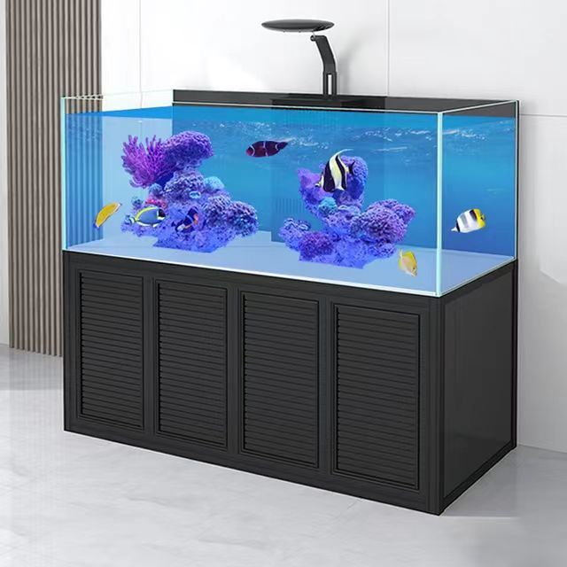 Ultra White Glass Aquarium Ecology, Grass Tank Living room Home Coral Dingju Fish Tank