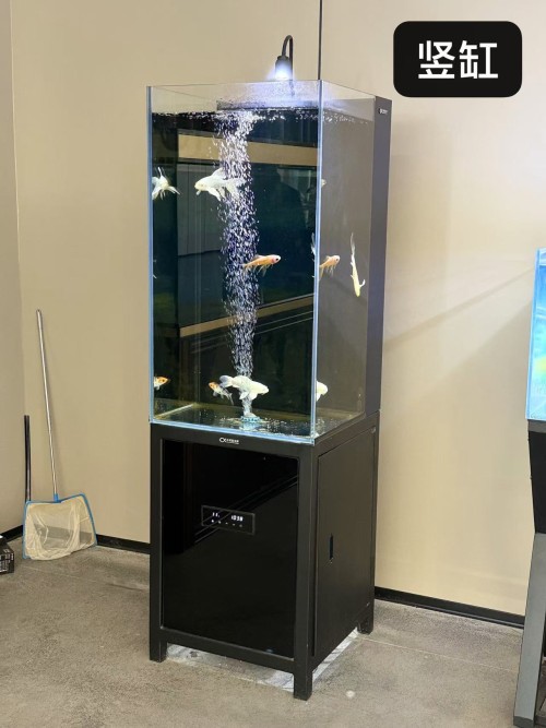 Free Standing Custom Black Filter Planted Aquarium & Cabinet Ultra Clear Glass Dingju Aquarium Fish Tank